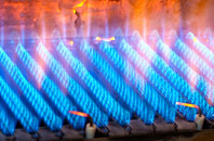 Rerwick gas fired boilers